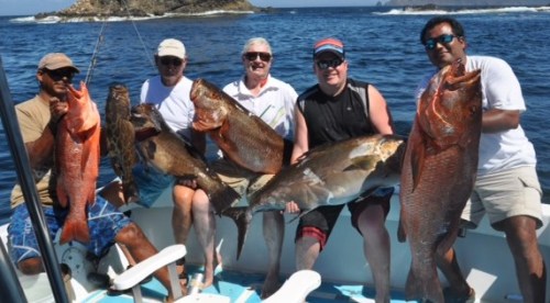 The six fish we caught with Costa Rica Fishing Charters