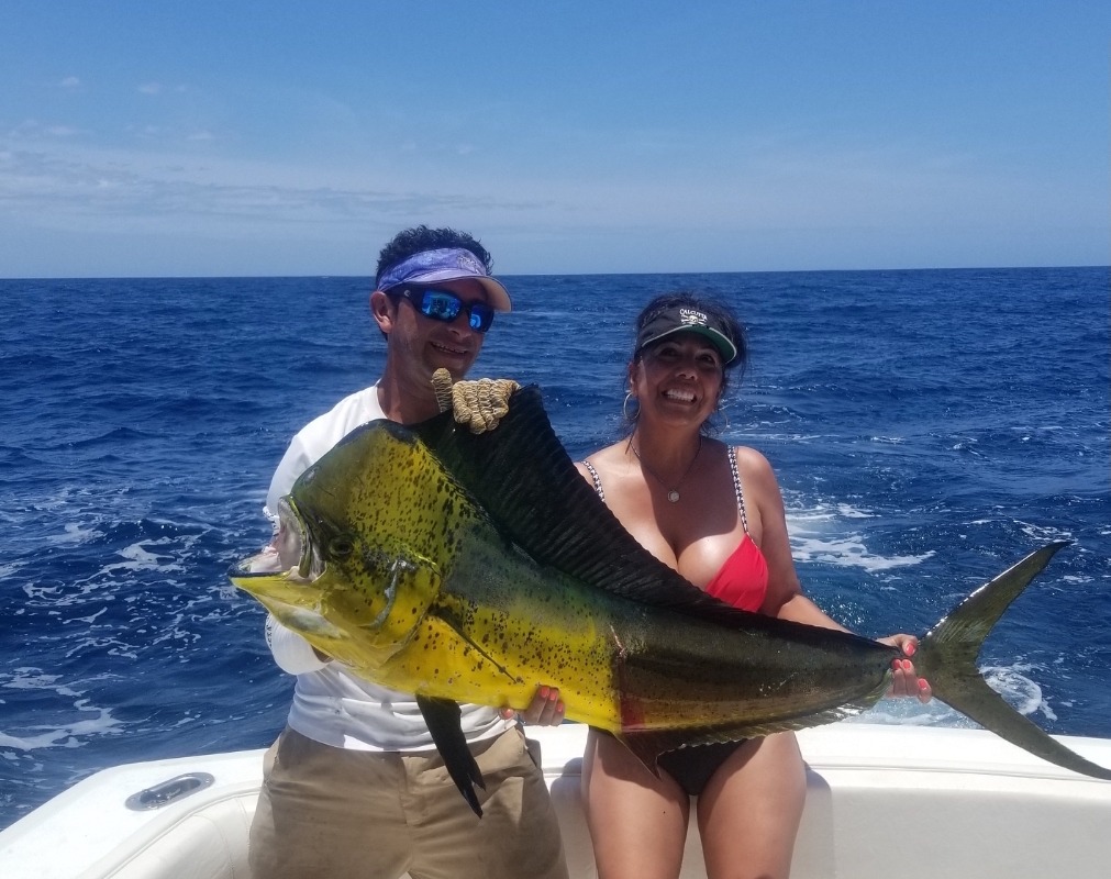 Beautiful Mahi-mahi caught with Costa Rica Fishing Charters